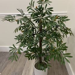 Artificial Olive Plant  With Realistic Fruit And Bunches With Pot 