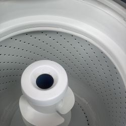 Bonita Labadora Tina Grande Con Garantía 