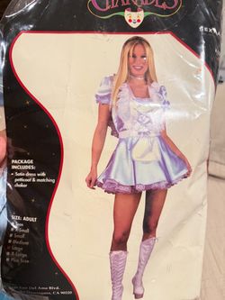 Cinderella Costume