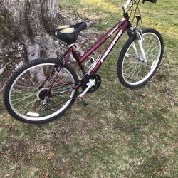 26” Mountain Bike (quick Trigger Shifting)