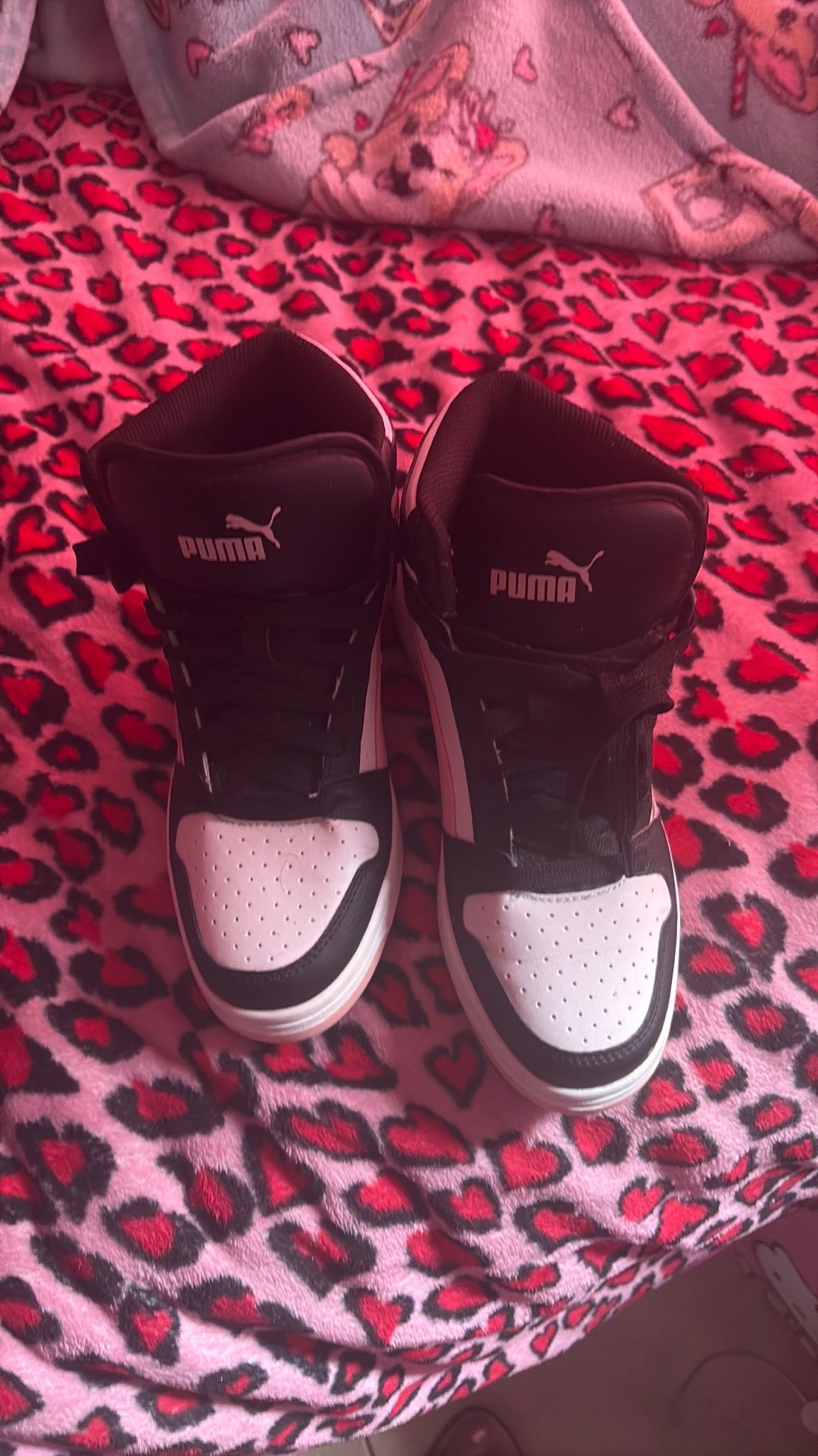 Pumas