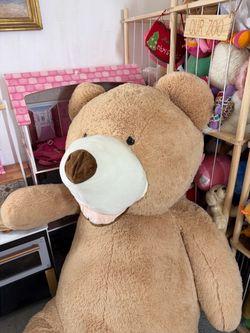 Bear
