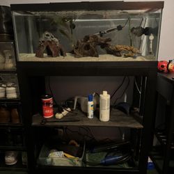 FISH TANK 20 GALLON (4 Years Old) $300 OBO