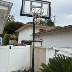 Basketball Hoop