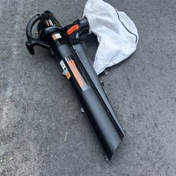 Blower Vacuum Mulched