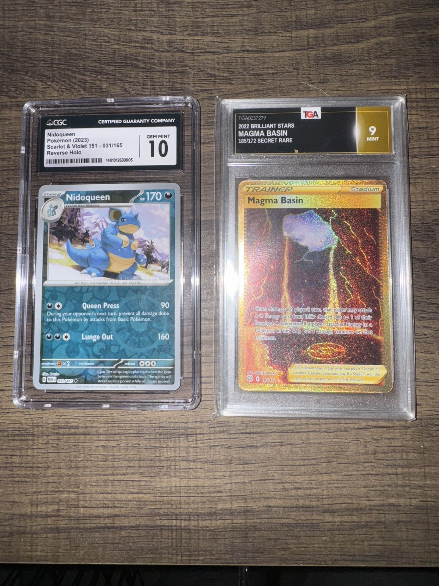 Pokémon Nidoqueen And Magma Basin