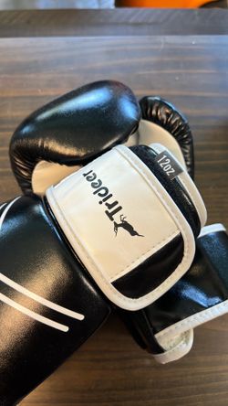 Boxing Gloves 12oz