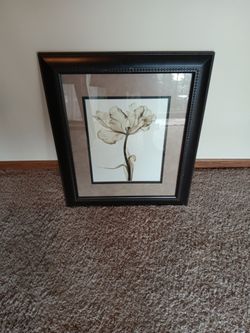 Large Beautiful Picture