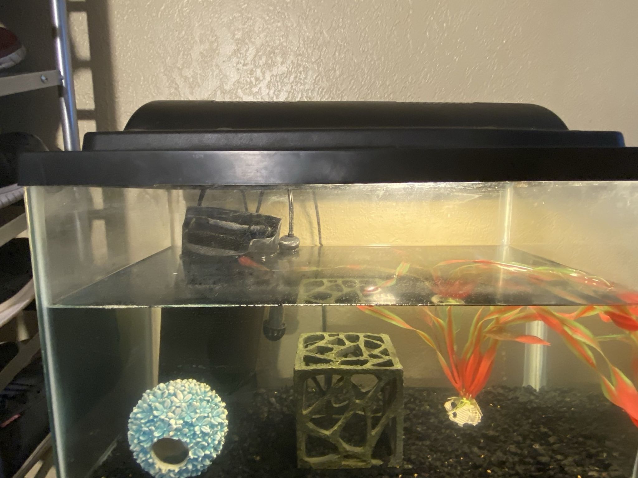 Fish Tank And Accessories