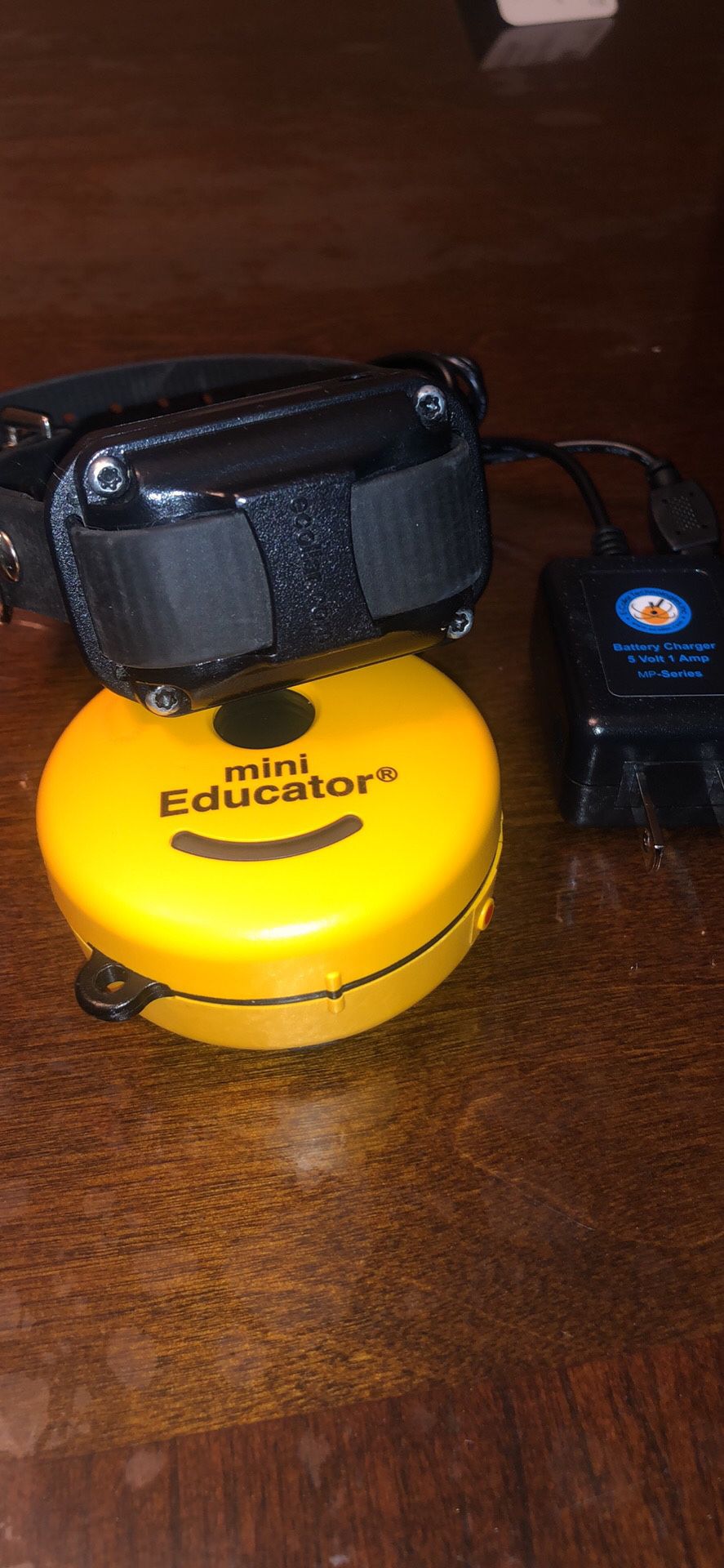 Mini educator