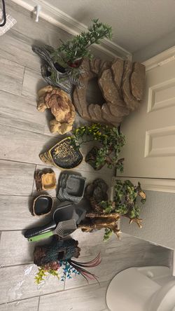 Various Reptile Decor