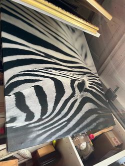 Zebra on Canvas picture