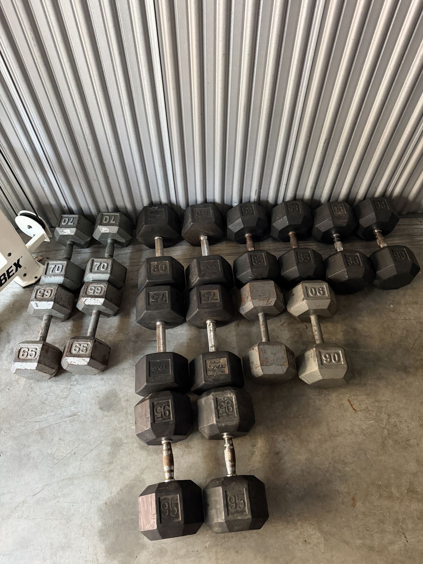 65-95 Pound Dumbbells