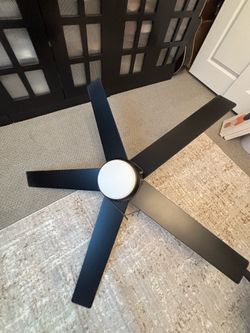 Ceiling fan with light. Black. ($25)