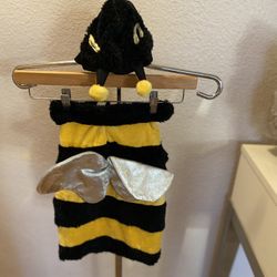 Bumble Bee Halloween Costume Dog Size M  