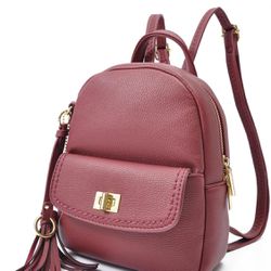 Brand New! 𝙗𝙖𝙘𝙠𝙥𝙖𝙘𝙠 𝙥𝙪𝙧𝙨𝙚 𝙛𝙤𝙧 𝙬𝙤𝙢𝙚𝙣 mini backpack - small backpack for women Pu leather backpack fashion backpack handbag 