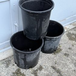 3 big nursery pot