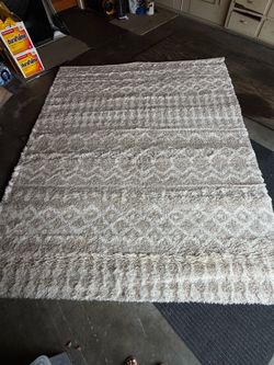 Area Rug 7X10