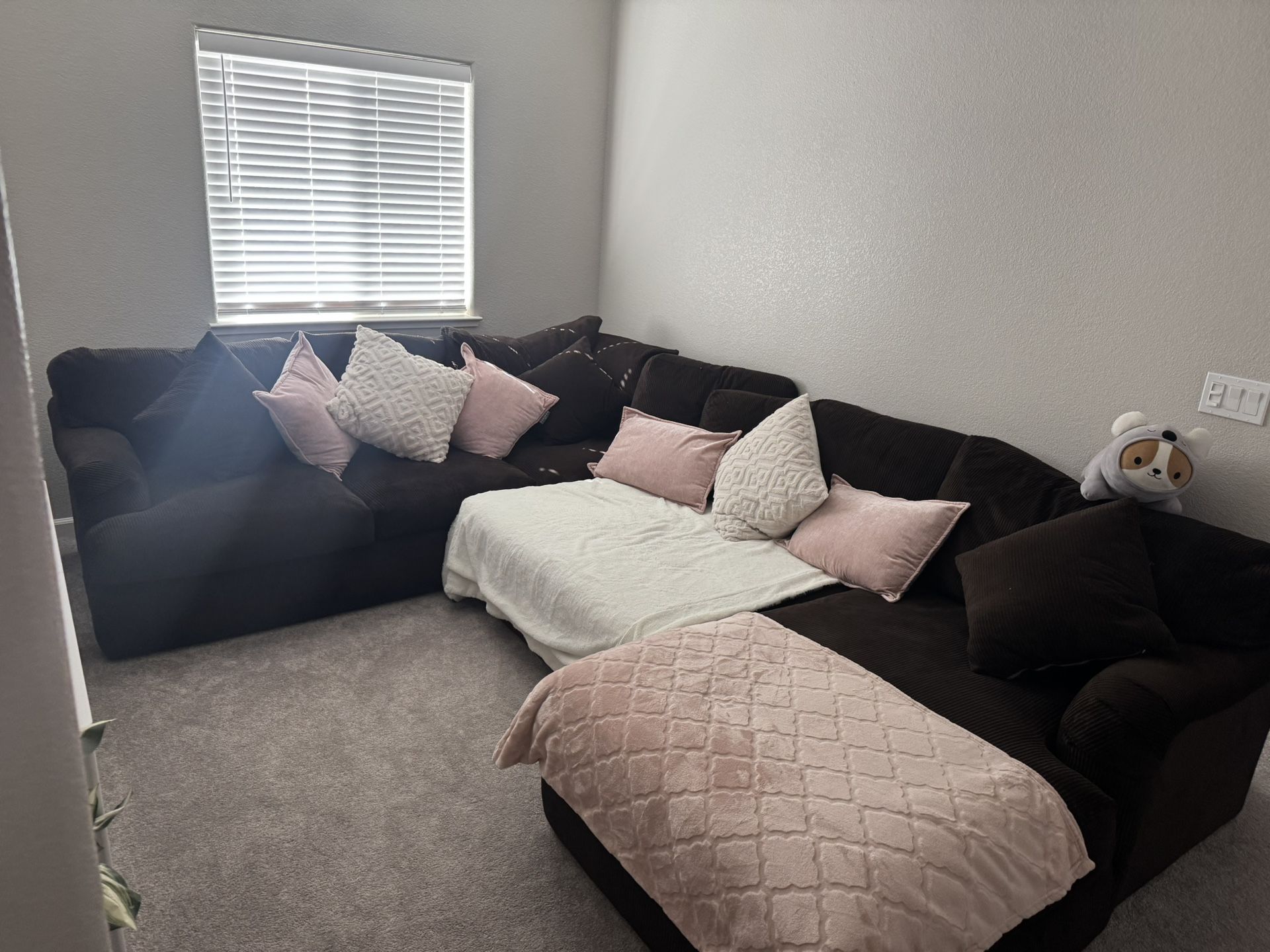 Brown Couch