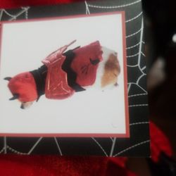 Devil Costume For Dogs