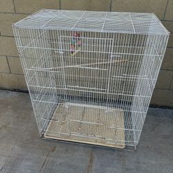 Bird Cage 