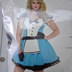 Alice In Wonderland Full Costume With Accessories