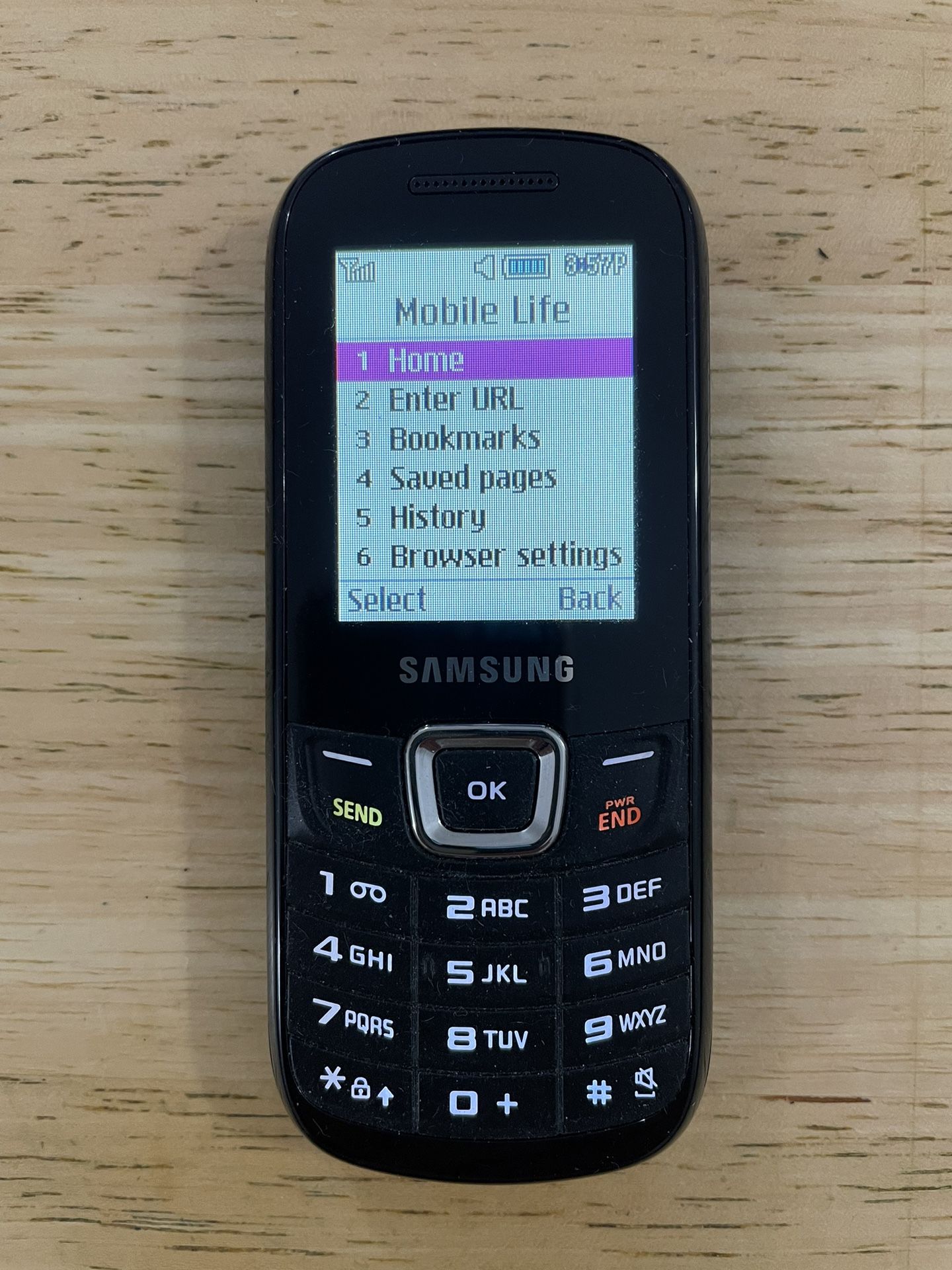 Samsung T199 Cell Phone