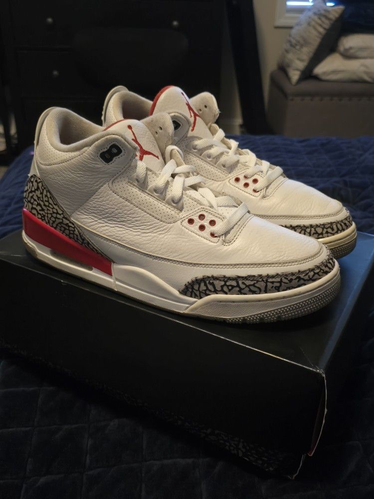 Air Jordan Retro 3 (Size 12)