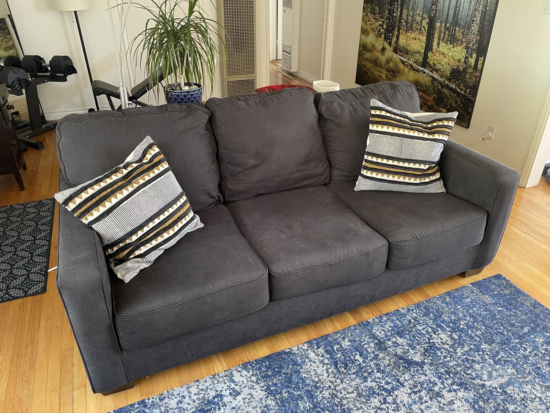 Ashley Furniture Lucina Queen Sleeper Sofa