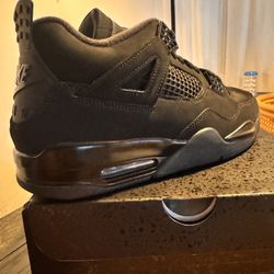 Jordan 4s 