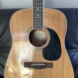 Mitchell MD-100 Acoustic