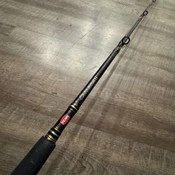 Penn carnage 8’ 15-40  salt water fishing rod  like new