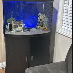 Aquarium Fish Tank