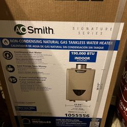 Tankless Water Heater