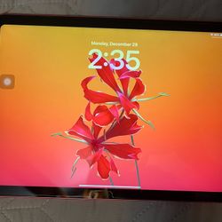 iPad 10th generation pink