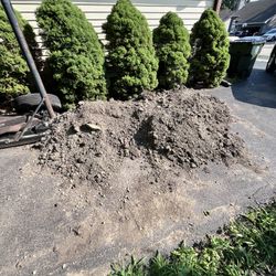 Fill Dirt