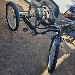 Tricycle bike