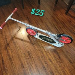 Adult Scooter