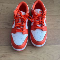 Nike Dunks Size 14