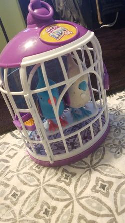 little live pets with 2 birds