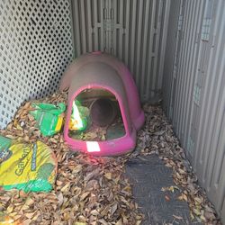 Igloo Dog House 
