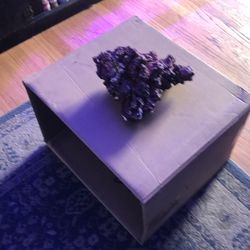 Salt, water rocks for fish, aquarium, salt, water, fish aquarium