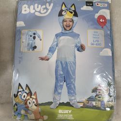 Bluey Costume 10/12