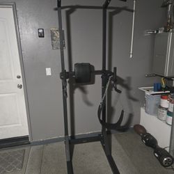 Pull Up/ Dip Station