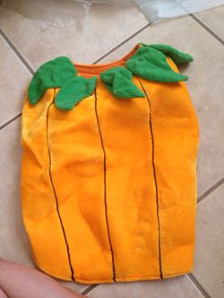 XL dog Halloween costume
