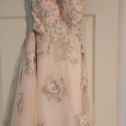 Prom/Wedding Dress