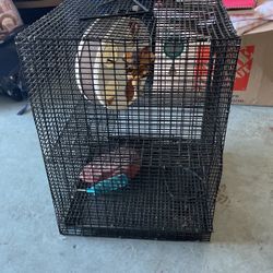 24 ‘’ inch High , 18 * 18 W 