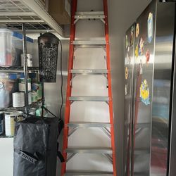 9 Foot Ladder 