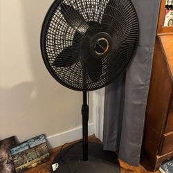 Nice Fan
