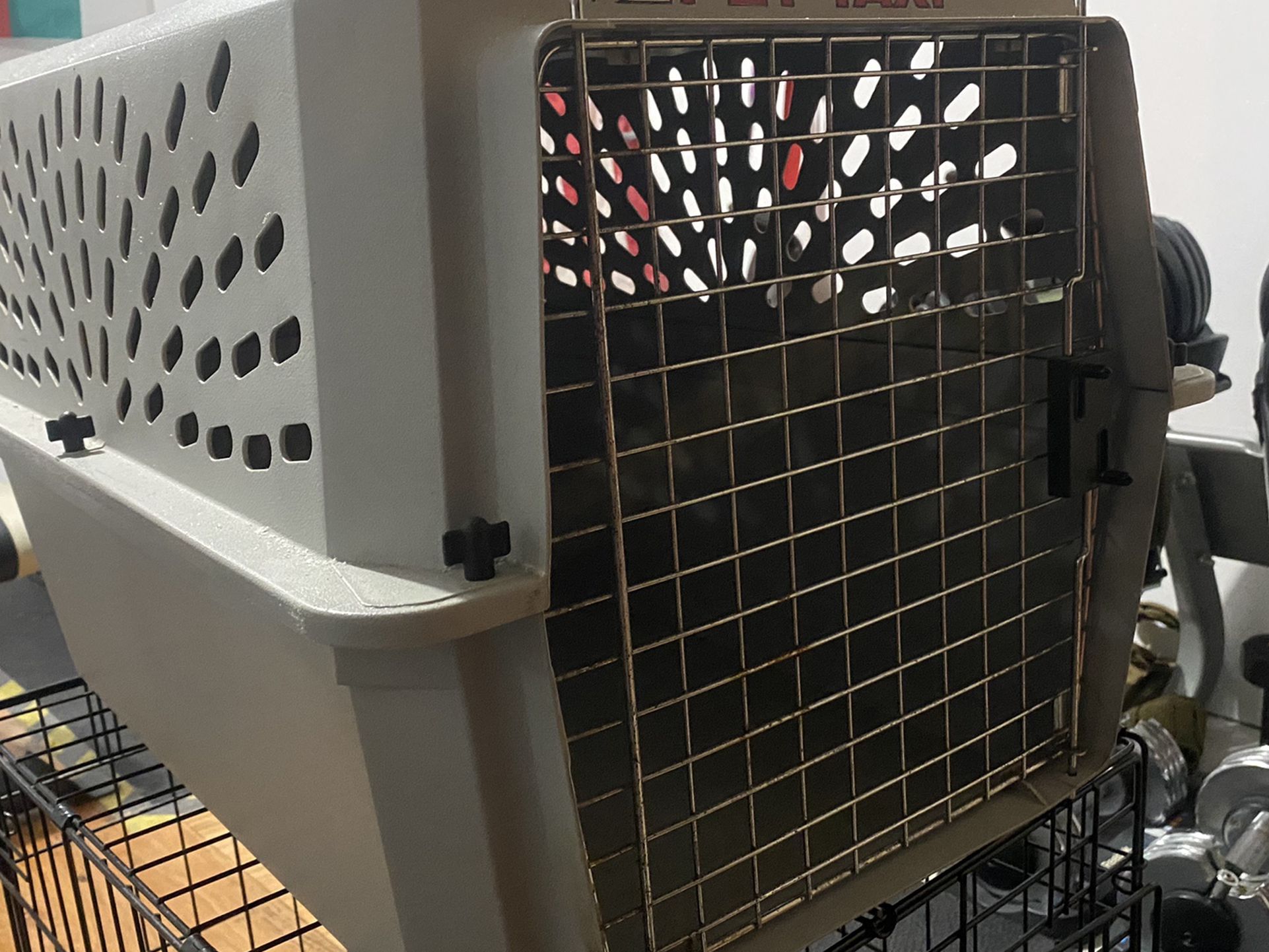 Pet Taxi Cage